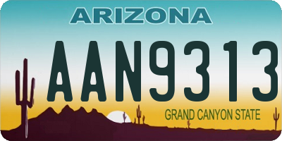 AZ license plate AAN9313