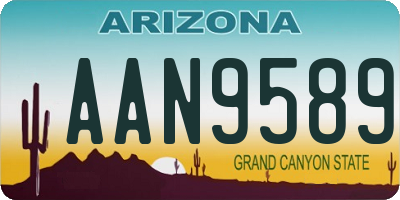 AZ license plate AAN9589