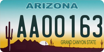 AZ license plate AAO0163