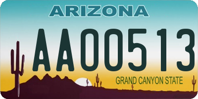 AZ license plate AAO0513