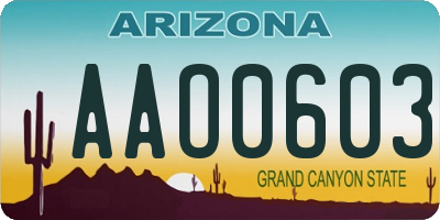 AZ license plate AAO0603