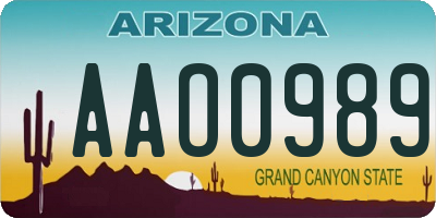 AZ license plate AAO0989