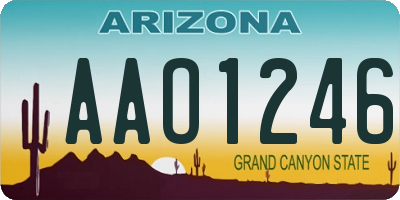 AZ license plate AAO1246