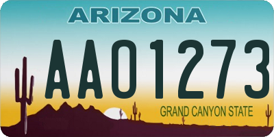 AZ license plate AAO1273