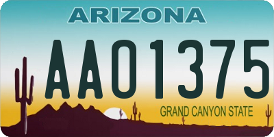 AZ license plate AAO1375