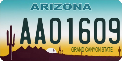 AZ license plate AAO1609