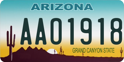 AZ license plate AAO1918