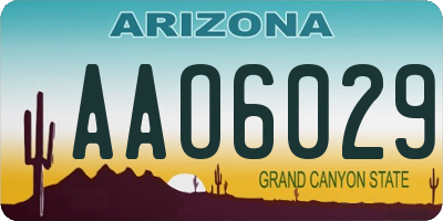 AZ license plate AAO6029
