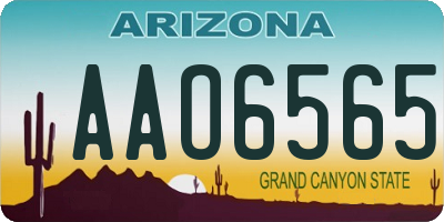 AZ license plate AAO6565