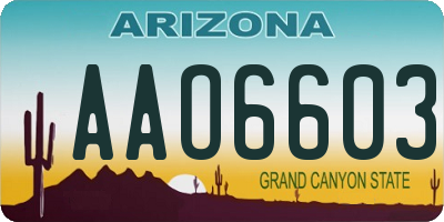 AZ license plate AAO6603