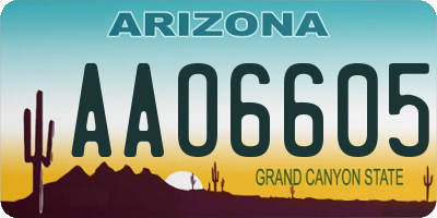 AZ license plate AAO6605