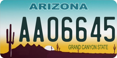 AZ license plate AAO6645