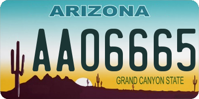 AZ license plate AAO6665