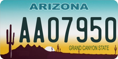 AZ license plate AAO7950