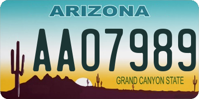 AZ license plate AAO7989