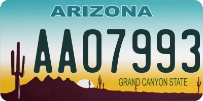 AZ license plate AAO7993