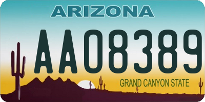 AZ license plate AAO8389