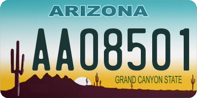 AZ license plate AAO8501