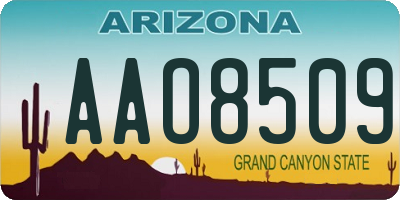 AZ license plate AAO8509