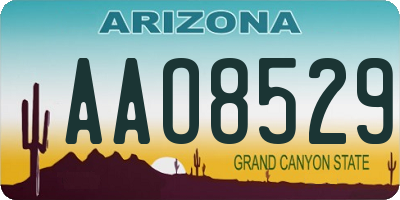 AZ license plate AAO8529