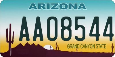AZ license plate AAO8544
