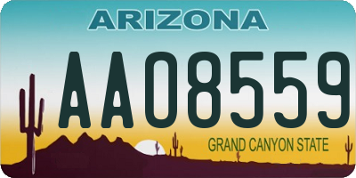 AZ license plate AAO8559