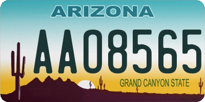 AZ license plate AAO8565