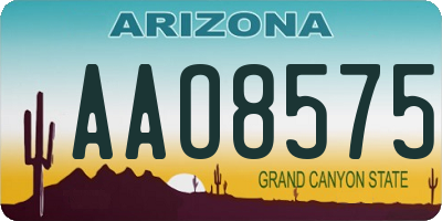 AZ license plate AAO8575