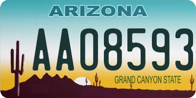 AZ license plate AAO8593