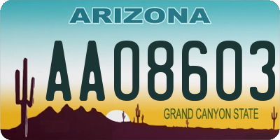 AZ license plate AAO8603
