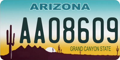 AZ license plate AAO8609