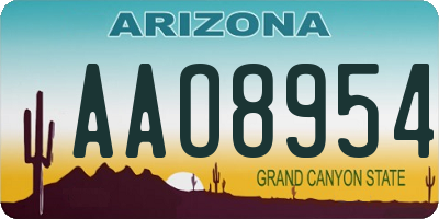 AZ license plate AAO8954