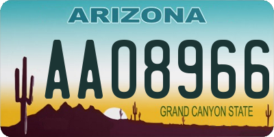 AZ license plate AAO8966