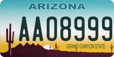 AZ license plate AAO8999