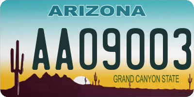 AZ license plate AAO9003