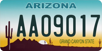 AZ license plate AAO9017