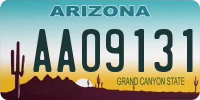 AZ license plate AAO9131