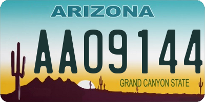 AZ license plate AAO9144