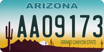 AZ license plate AAO9173