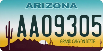 AZ license plate AAO9305