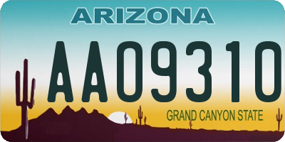 AZ license plate AAO9310