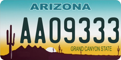 AZ license plate AAO9333