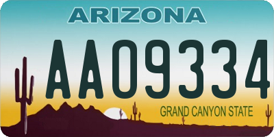 AZ license plate AAO9334