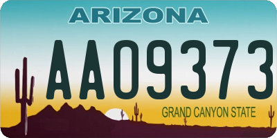 AZ license plate AAO9373