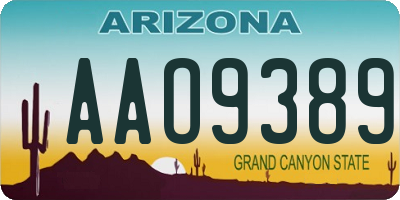 AZ license plate AAO9389
