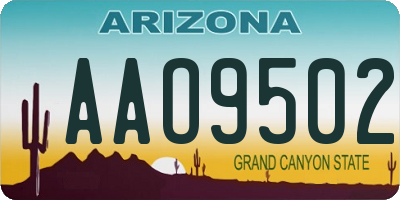 AZ license plate AAO9502