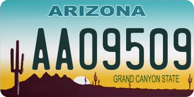 AZ license plate AAO9509