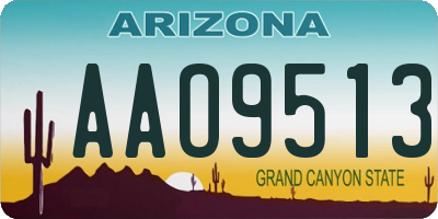 AZ license plate AAO9513