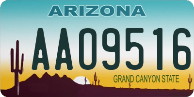 AZ license plate AAO9516