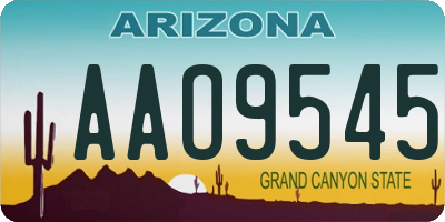 AZ license plate AAO9545